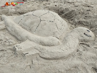 Und eine Schildkröte!