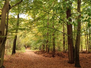 Holiday apartment Gelbensande Environment 36