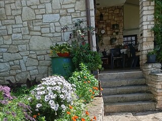 Apartment Ližnjan  3