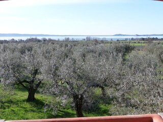 Appartamento per vacanze San Lorenzo Nuovo Caratteristiche 19