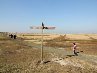 Vakantiehuis De Koog Omgeving 37