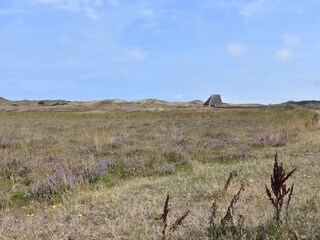 Casa de vacaciones De Koog Entorno 34