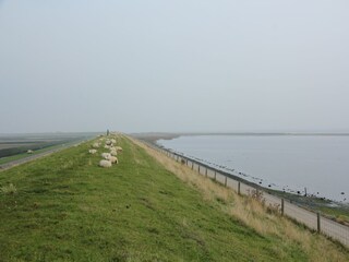 Vakantiehuis De Koog Omgeving 36