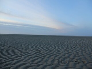 Vakantiehuis De Koog Omgeving 36