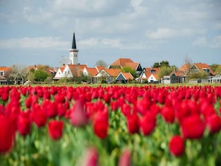Ferienhaus Den Hoorn Umgebung 32
