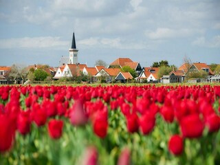 Casa per le vacanze Den Hoorn Ambiente 33