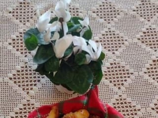 Ferienhaus Welt Außenaufnahme 6