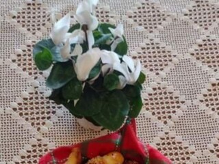 Vakantiehuis Welt Buitenaudio-opname 6