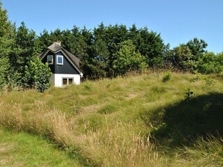 Vakantiehuisje De Cocksdorp Buitenaudio-opname 3