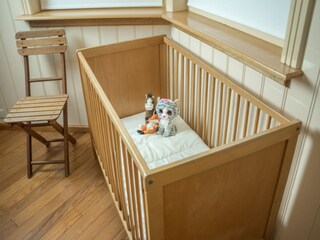 Type de propriété : Chalet De Cocksdorp Équipement 21