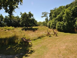 Type de propriété : Chalet De Cocksdorp Enregistrement extérieur 5