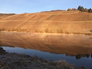 Wintermorgen am Fluß 01