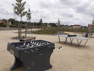 baby-foot/table tennis