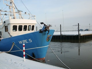 Am Kutterhafen im Winter (200m von FeWo)