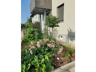 Mona Lisa-Außenbereich mit Balkon