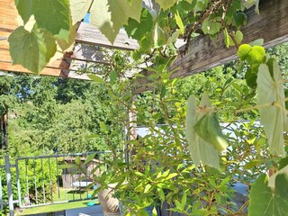 Fewo Schlossstrasse 7- Balkon