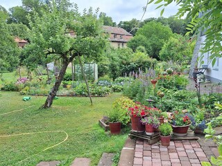 Fewo Schlossstrasse 7-Garten