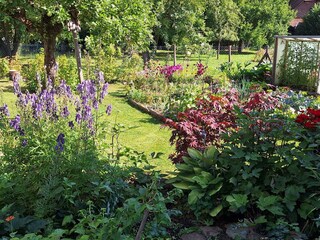 Fewo Schlossstrasse 7- Garten