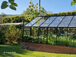 Garten mit Gewächshaus