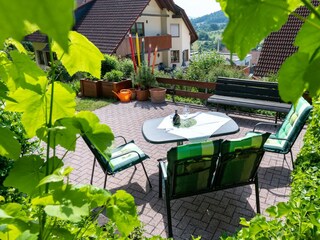Fewo Hauk-Garten- Haus und Gartenterrasse
