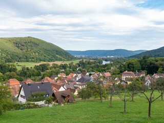 Fewo Hauk-Blick auf Laudenbach