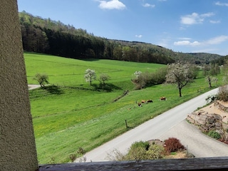 Hennrich-Blick vom Balkon