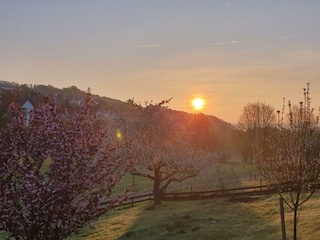 LandLeben-Sonnenaufgang