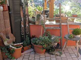 Im Paradies-Außenbereich