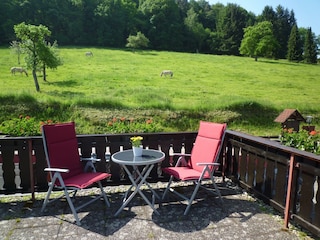 Haus Fernblick, Ferienwohnung 2, Balkon