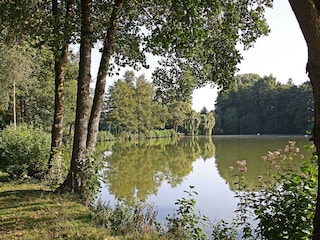 Haus Fernblick-Kurpark Bad König