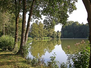 Haus Fernblick-Kurpark Bad König