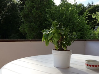Fewo Trautes Heim-Blick vom Balkon zum Wald