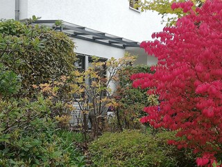 Annettes Ferienwohnung - Terrasse im Herbst