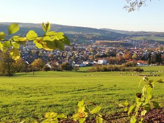 Annettes Ferienwohnung-Blick auf Michelstadt