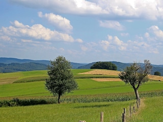 Ferienhof Knöll, Blick aus dem Ferienhaus