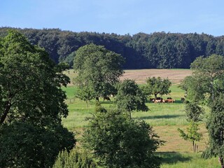 Ferienhof Knöll-Ausblick