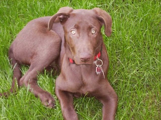 Ferienhof Knöll- Unsere Hofbewohner