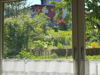 Ferienwohnung Wendel-Gartenblick