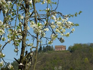 Lioba Kunst-Blick zur Gotthardsruine