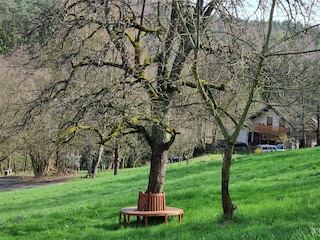 Fewo Am Kirchberg-Hausansicht West