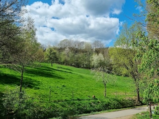 Fewo Am Kirchberg-Ausblick Westbalkon