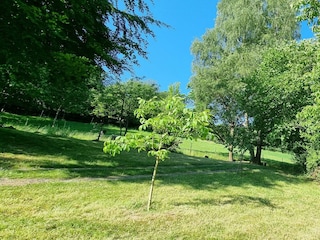 Fewo Am Kirchberg- Grundstück