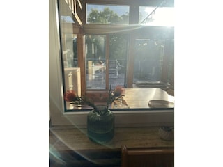 Ferienwohnung Blick ins Grüne-Blick in Wintergarte