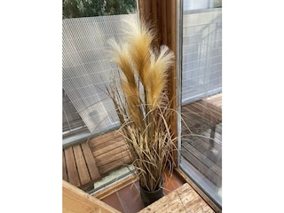 Ferienwohnung Blcik ins Grüne, Wintergarten Gräser