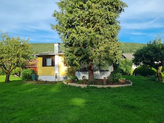 Haus im Grünen-Haus und Baum