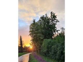 Haus im Grünen-Sonnenuntergang