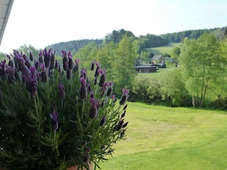 Ferienhaus Zur Mühle-Blick vom Balkon 2. Etage