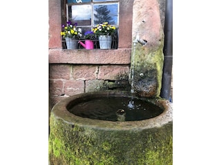 Ferienwohnungen Hanst-Brunnen