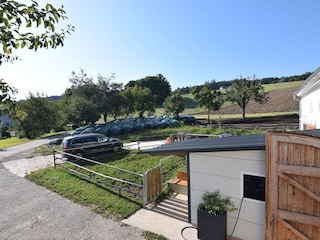 Blick auf Kälberauslauf