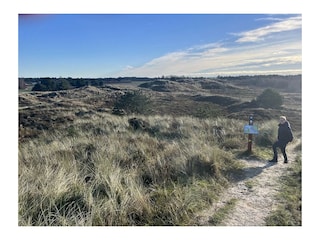 Ferienhaus Havneby Umgebung 34